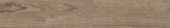 Oak Sevilla Taupe |  Carpet Barn Carpet One Inc.