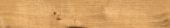 Oak Villa Gold |  Carpet Barn Carpet One Inc.