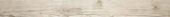 Paradise 3X33 Bullnose |  Carpet Barn Carpet One Inc.