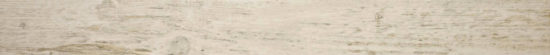 Paradise 3X33 Bullnose |  Carpet Barn Carpet One Inc.