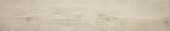 Paradise 5.5X33 |  Carpet Barn Carpet One Inc.