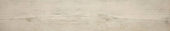 Paradise 5.5X33 |  Carpet Barn Carpet One Inc.