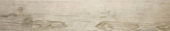 Paradise 5.5X33 |  Carpet Barn Carpet One Inc.