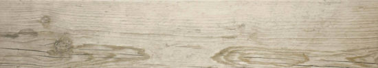 Paradise 5.5X33 |  Carpet Barn Carpet One Inc.