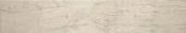 Paradise 5.5X33 |  Carpet Barn Carpet One Inc.