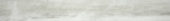 Pegasus Grigio 3X24 Bullnose |  Carpet Barn Carpet One Inc.