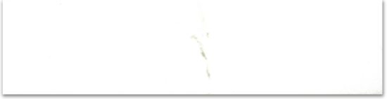 Polished 3X12 Adoration Bullnose |  Carpet Barn Carpet One Inc.