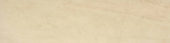 Polished 3X12 Affection Bullnose |  Carpet Barn Carpet One Inc.