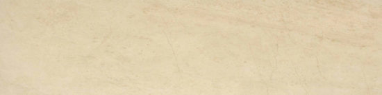 Polished 3X12 Affection Bullnose |  Carpet Barn Carpet One Inc.