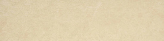 Polished 3X12 Affection Bullnose |  Carpet Barn Carpet One Inc.