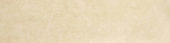 Polished 3X12 Affection Bullnose |  Carpet Barn Carpet One Inc.
