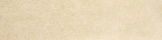 Polished 3X12 Affection Bullnose |  Carpet Barn Carpet One Inc.
