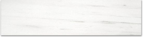 Polished 3X12 Devotion Bullnose |  Carpet Barn Carpet One Inc.