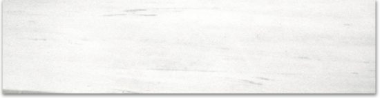 Polished 3X12 Devotion Bullnose |  Carpet Barn Carpet One Inc.
