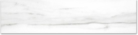 Polished 3X12 Infatuation Bullnose |  Carpet Barn Carpet One Inc.