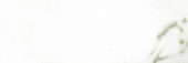 Polished Adoration 10.5X32 |  Carpet Barn Carpet One Inc.