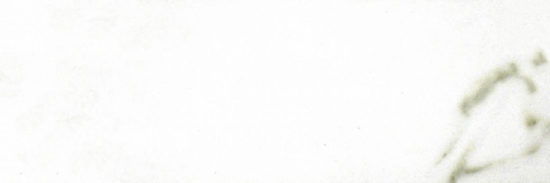 Polished Adoration 10.5X32 |  Carpet Barn Carpet One Inc.