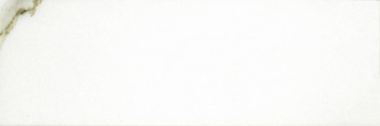 Polished Adoration 10.5X32 |  Carpet Barn Carpet One Inc.