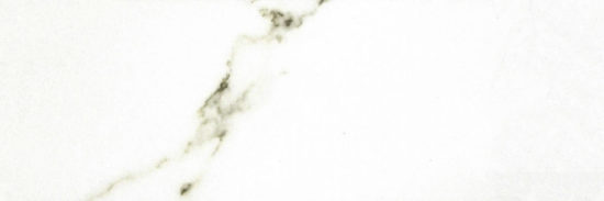 Polished Adoration 10.5X32 |  Carpet Barn Carpet One Inc.
