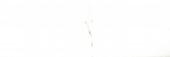 Polished Adoration 10.5X32 |  Carpet Barn Carpet One Inc.