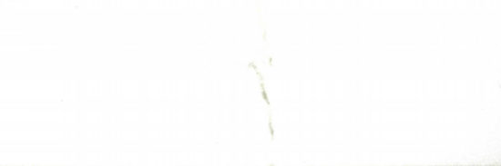 Polished Adoration 10.5X32 |  Carpet Barn Carpet One Inc.
