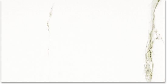 Polished Adoration 12X24 |  Carpet Barn Carpet One Inc.