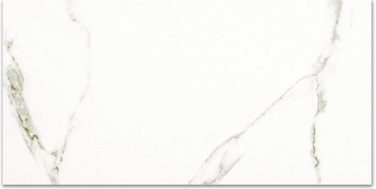 Polished Adoration 12X24 |  Carpet Barn Carpet One Inc.