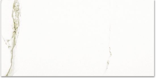 Polished Adoration 16X32 |  Carpet Barn Carpet One Inc.