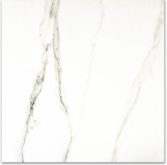Polished Adoration 24X24 |  Carpet Barn Carpet One Inc.