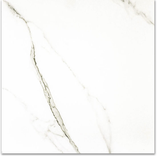 Polished Adoration 24X24 |  Carpet Barn Carpet One Inc.