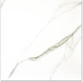 Polished Adoration 24X24 |  Carpet Barn Carpet One Inc.