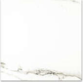 Polished Adoration 24X24 |  Carpet Barn Carpet One Inc.