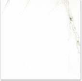 Polished Adoration 24X24 |  Carpet Barn Carpet One Inc.