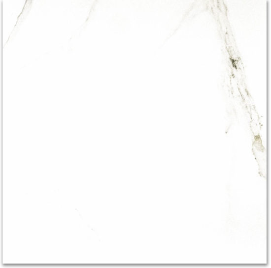 Polished Adoration 24X24 |  Carpet Barn Carpet One Inc.