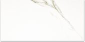 Polished Adoration 24X48 |  Carpet Barn Carpet One Inc.
