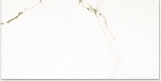 Polished Adoration 24X48 |  Carpet Barn Carpet One Inc.