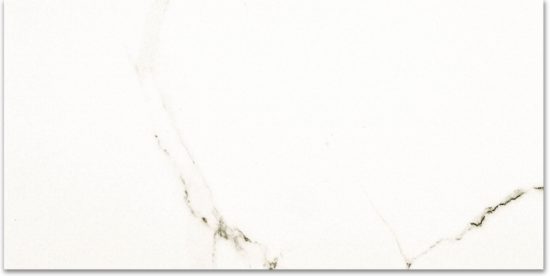 Polished Adoration 24X48 |  Carpet Barn Carpet One Inc.