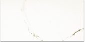 Polished Adoration 24X48 |  Carpet Barn Carpet One Inc.