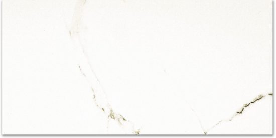 Polished Adoration 24X48 |  Carpet Barn Carpet One Inc.