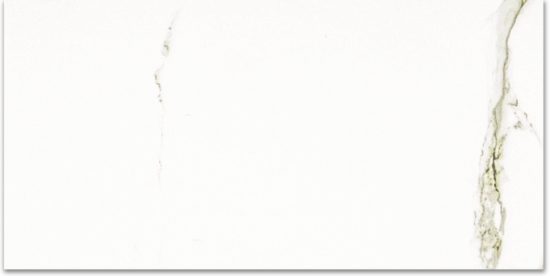 Polished Adoration 24X48 |  Carpet Barn Carpet One Inc.