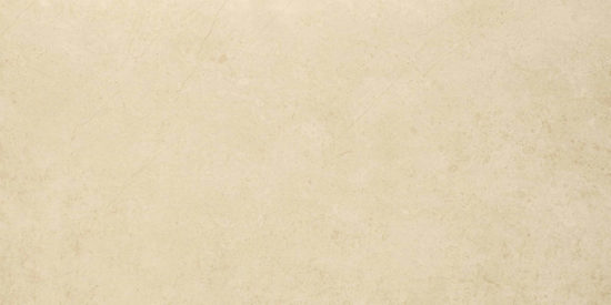 Polished Affection 16X32 |  Carpet Barn Carpet One Inc.