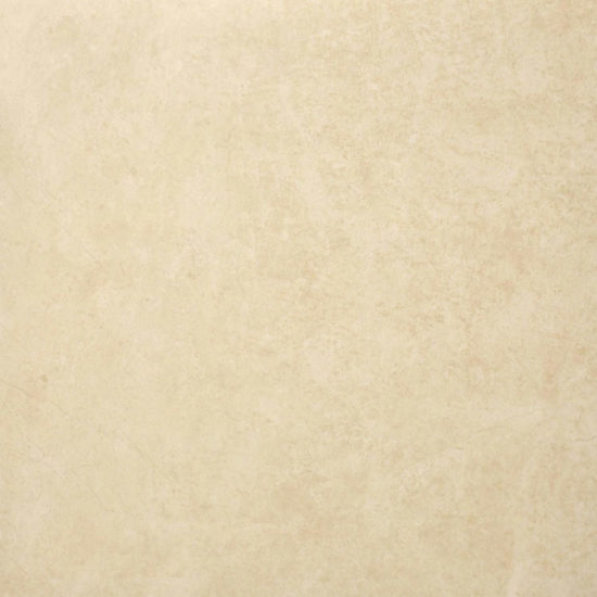 Polished Affection 24X24 |  Carpet Barn Carpet One Inc.