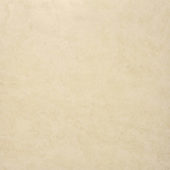 Polished Affection 24X24 |  Carpet Barn Carpet One Inc.