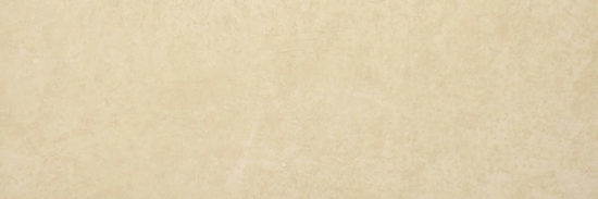 Polished Affection 4X12 |  Carpet Barn Carpet One Inc.
