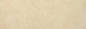Polished Affection 4X12 |  Carpet Barn Carpet One Inc.