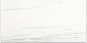 Polished Devotion 12X24 |  Carpet Barn Carpet One Inc.