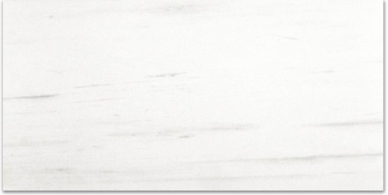 Polished Devotion 12X24 |  Carpet Barn Carpet One Inc.