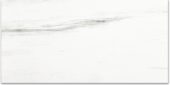Polished Devotion 12X24 |  Carpet Barn Carpet One Inc.