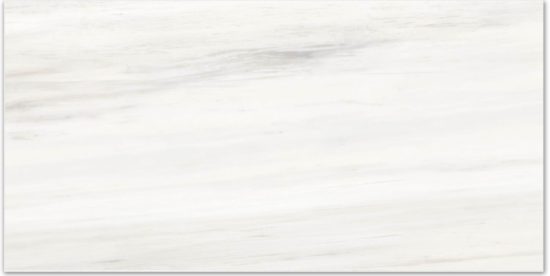 Polished Devotion 16X32 |  Carpet Barn Carpet One Inc.