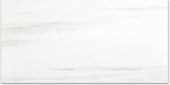 Polished Devotion 24X48 |  Carpet Barn Carpet One Inc.